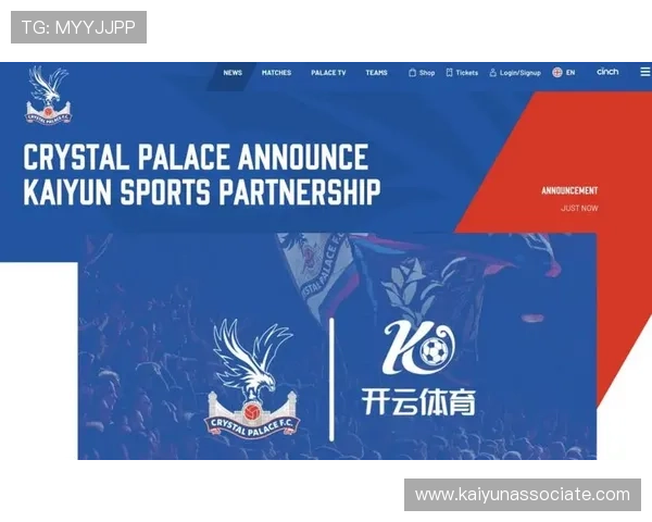 新手必读:开云体育官网入口网页的游戏规则与策略指南